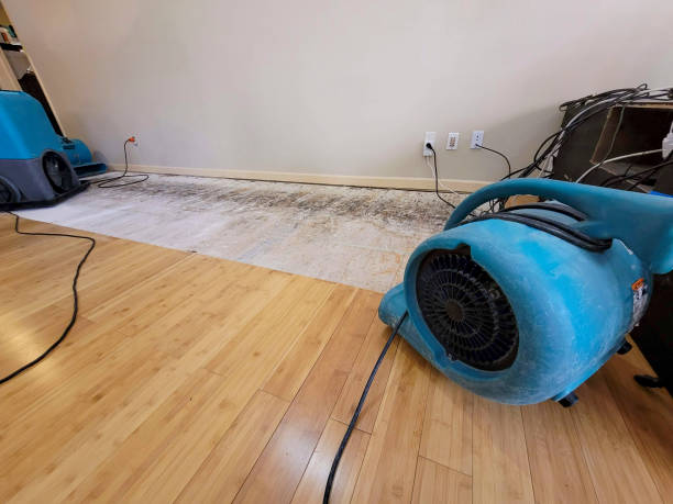 Professional Flood Damage Cleanup technician working in Durham, NY